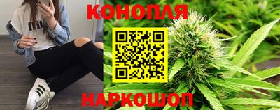 дмт Абинск